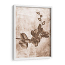 Inversiones De Flores Sepia 7 - THE Studio | Cuadro decorativo de Canvas Lab