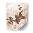 Inversiones De Flores Sepia 7 - THE Studio | Cuadro decorativo de Canvas Lab