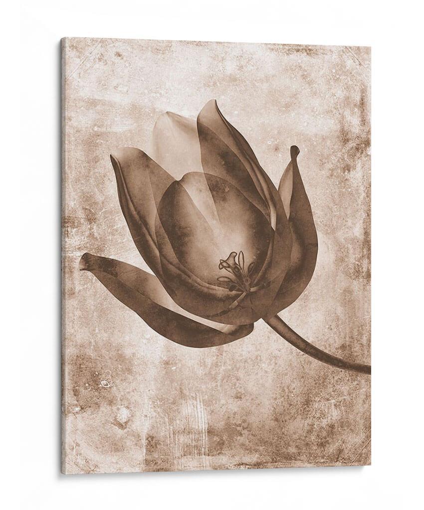 Inversiones De Flores Sepia 8 - THE Studio | Cuadro decorativo de Canvas Lab