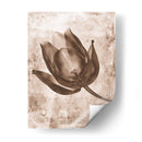 Inversiones De Flores Sepia 8 - THE Studio | Cuadro decorativo de Canvas Lab