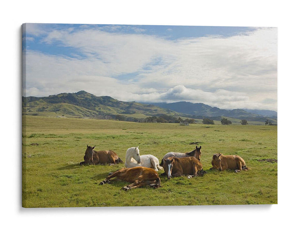 Caballos De Descanso, San Simeón - Robert Hansen | Cuadro decorativo de Canvas Lab
