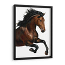 Caballo Marrón - Stefano Altamura | Cuadro decorativo de Canvas Lab