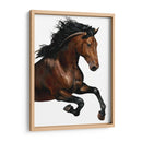 Caballo Marrón - Stefano Altamura | Cuadro decorativo de Canvas Lab