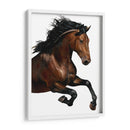 Caballo Marrón - Stefano Altamura | Cuadro decorativo de Canvas Lab