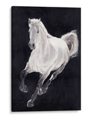 Caballo Blanco - Stefano Altamura | Cuadro decorativo de Canvas Lab