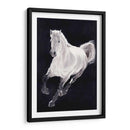 Caballo Blanco - Stefano Altamura | Cuadro decorativo de Canvas Lab