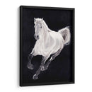 Caballo Blanco - Stefano Altamura | Cuadro decorativo de Canvas Lab