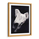 Caballo Blanco - Stefano Altamura | Cuadro decorativo de Canvas Lab