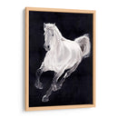 Caballo Blanco - Stefano Altamura | Cuadro decorativo de Canvas Lab