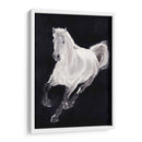 Caballo Blanco - Stefano Altamura | Cuadro decorativo de Canvas Lab