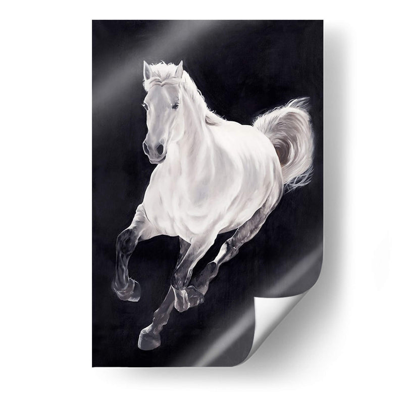 Caballo Blanco - Stefano Altamura | Cuadro decorativo de Canvas Lab