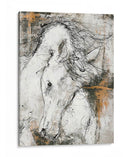 Caballo De Contorno 3 - Stefano Altamura | Cuadro decorativo de Canvas Lab