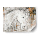 Caballo De Contorno 4 - Stefano Altamura | Cuadro decorativo de Canvas Lab