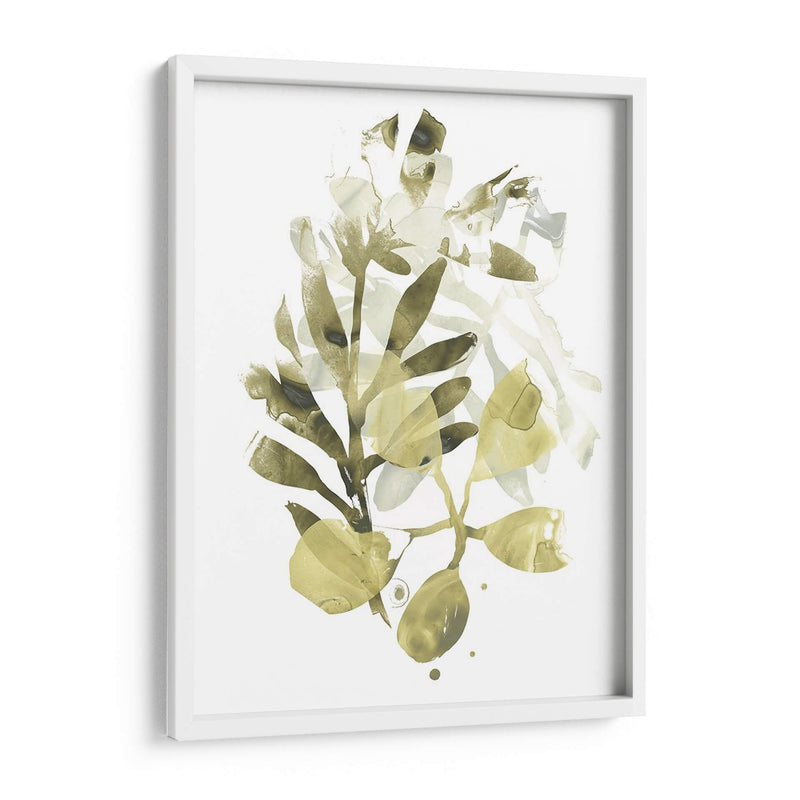 Liquen Y Hojas Ii - June Erica Vess | Cuadro decorativo de Canvas Lab