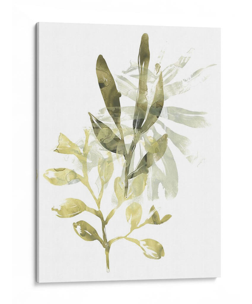 Liquen Y Hojas Iv - June Erica Vess | Cuadro decorativo de Canvas Lab