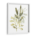 Liquen Y Hojas Iv - June Erica Vess | Cuadro decorativo de Canvas Lab