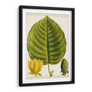 Árboles Florales Antiguos I | Cuadro decorativo de Canvas Lab