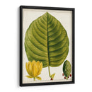 Árboles Florales Antiguos I | Cuadro decorativo de Canvas Lab