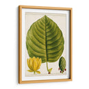 Árboles Florales Antiguos I | Cuadro decorativo de Canvas Lab