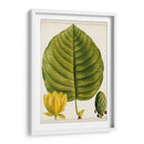 Árboles Florales Antiguos I | Cuadro decorativo de Canvas Lab