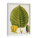 Árboles Florales Antiguos I | Cuadro decorativo de Canvas Lab