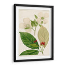 Árboles Florales Antiguos Iii | Cuadro decorativo de Canvas Lab