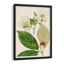 Árboles Florales Antiguos Iii | Cuadro decorativo de Canvas Lab