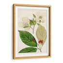 Árboles Florales Antiguos Iii | Cuadro decorativo de Canvas Lab