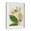 Árboles Florales Antiguos Iii | Cuadro decorativo de Canvas Lab