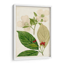 Árboles Florales Antiguos Iii | Cuadro decorativo de Canvas Lab