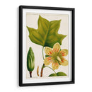 Árboles Florales Antiguos Iv | Cuadro decorativo de Canvas Lab