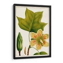 Árboles Florales Antiguos Iv | Cuadro decorativo de Canvas Lab