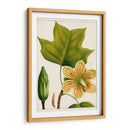 Árboles Florales Antiguos Iv | Cuadro decorativo de Canvas Lab