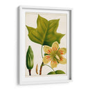 Árboles Florales Antiguos Iv | Cuadro decorativo de Canvas Lab