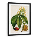 Árboles Florales Antiguos Vi | Cuadro decorativo de Canvas Lab