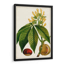 Árboles Florales Antiguos Vi | Cuadro decorativo de Canvas Lab