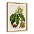 Árboles Florales Antiguos Vi | Cuadro decorativo de Canvas Lab