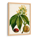 Árboles Florales Antiguos Vi | Cuadro decorativo de Canvas Lab