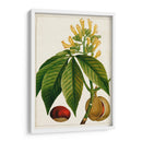 Árboles Florales Antiguos Vi | Cuadro decorativo de Canvas Lab