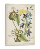 Bouquet Botánico I | Cuadro decorativo de Canvas Lab