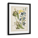 Bouquet Botánico I | Cuadro decorativo de Canvas Lab