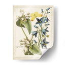 Bouquet Botánico I | Cuadro decorativo de Canvas Lab