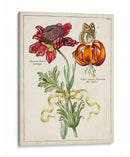 Bouquet Botánico Ii | Cuadro decorativo de Canvas Lab