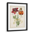 Bouquet Botánico Ii | Cuadro decorativo de Canvas Lab