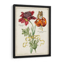 Bouquet Botánico Ii | Cuadro decorativo de Canvas Lab
