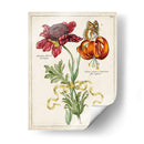 Bouquet Botánico Ii | Cuadro decorativo de Canvas Lab