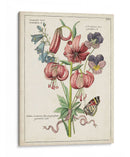 Bouquet Botánico Iii | Cuadro decorativo de Canvas Lab