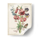 Bouquet Botánico Iii | Cuadro decorativo de Canvas Lab