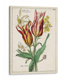 Bouquet Botánico Iv | Cuadro decorativo de Canvas Lab