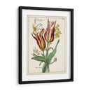Bouquet Botánico Iv | Cuadro decorativo de Canvas Lab